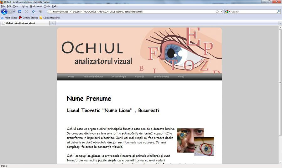 Atestat informatica Ochiul - Analizatorul vizual