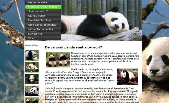 Atestat informatica Ursii Panda