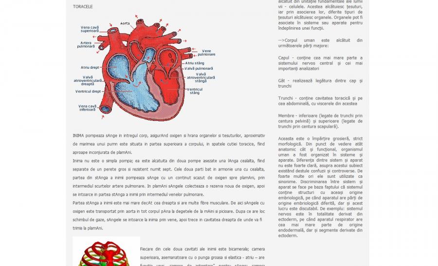 Atestat informatica Anatomia corpului uman