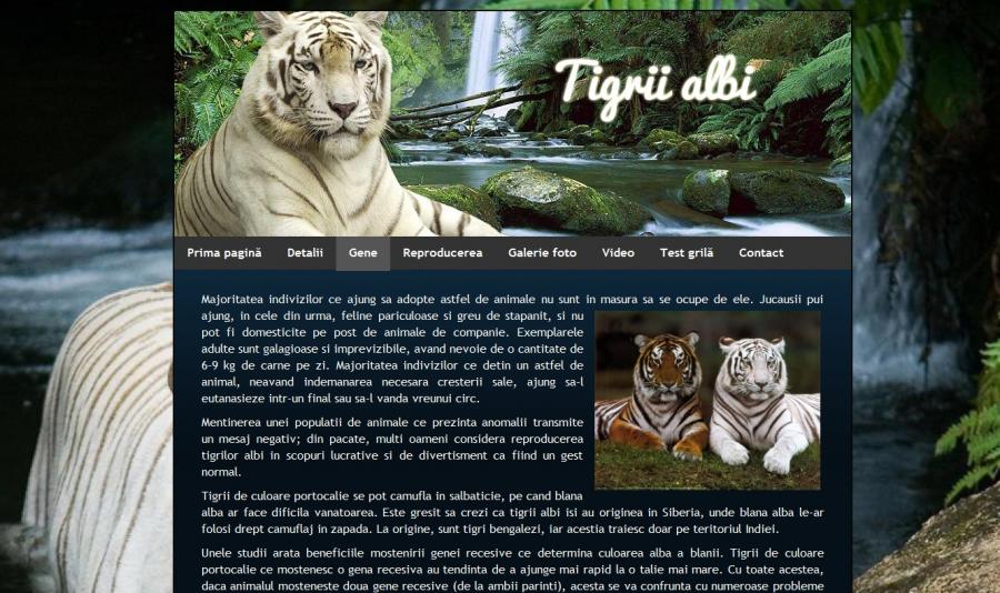 Atestat informatica Tigrii albi