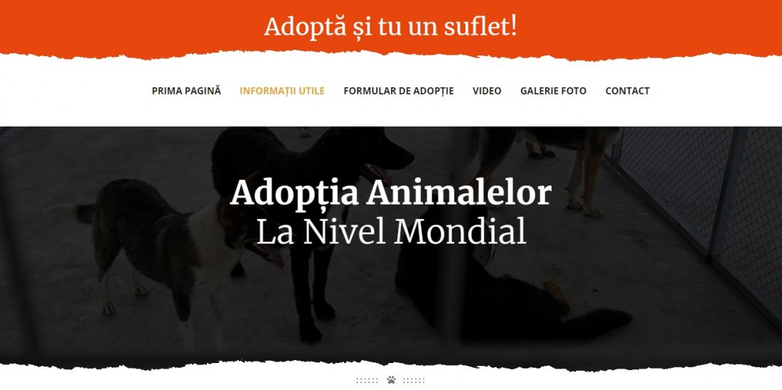 Atestat informatica Adoptia animalelor