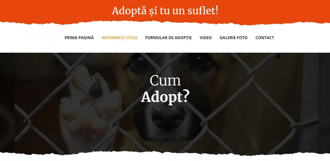 Atestat informatica Adoptia animalelor