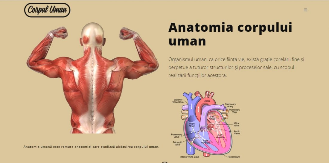 Atestat informatica Anatomia umana