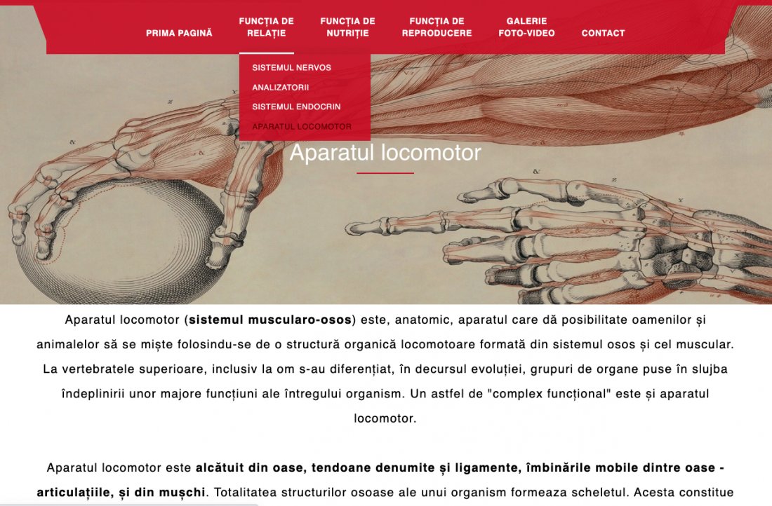 Atestat informatica Anatomia umana v2