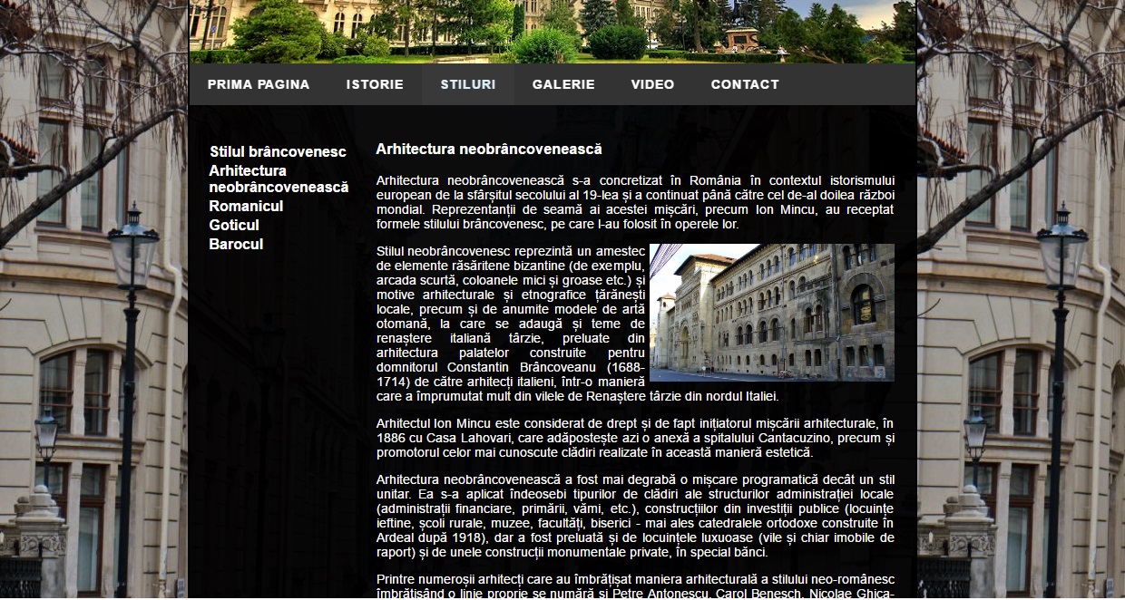 Atestat informatica Arhitectura in Romania