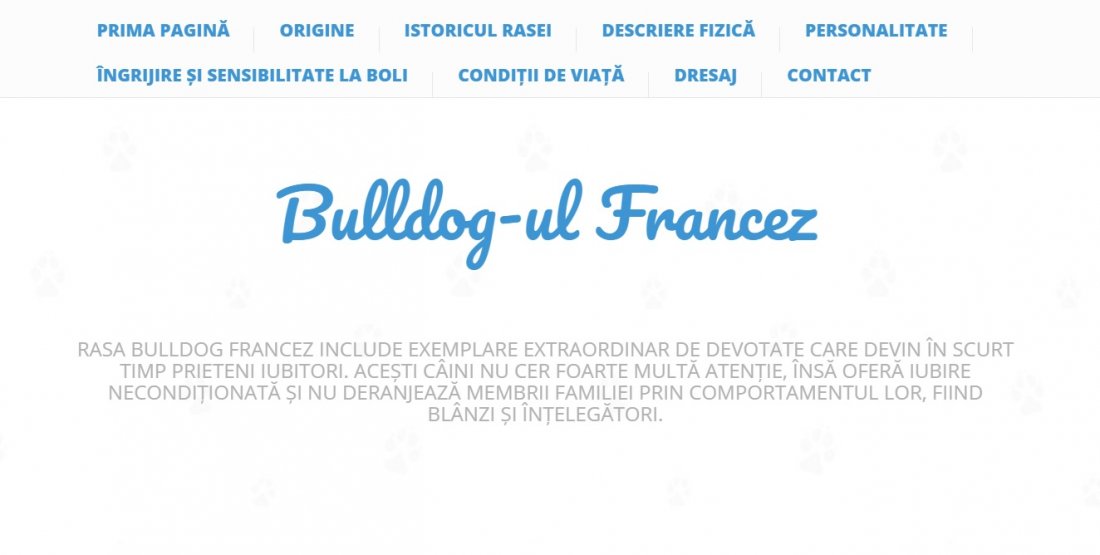 Atestat informatica Bulldog francez