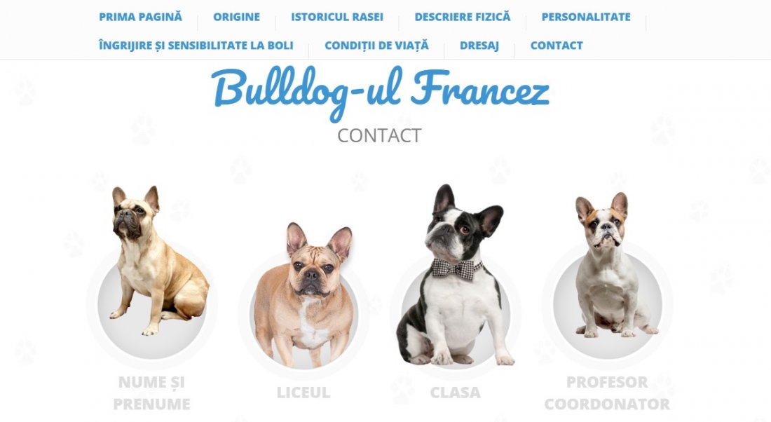 Atestat informatica Bulldog francez