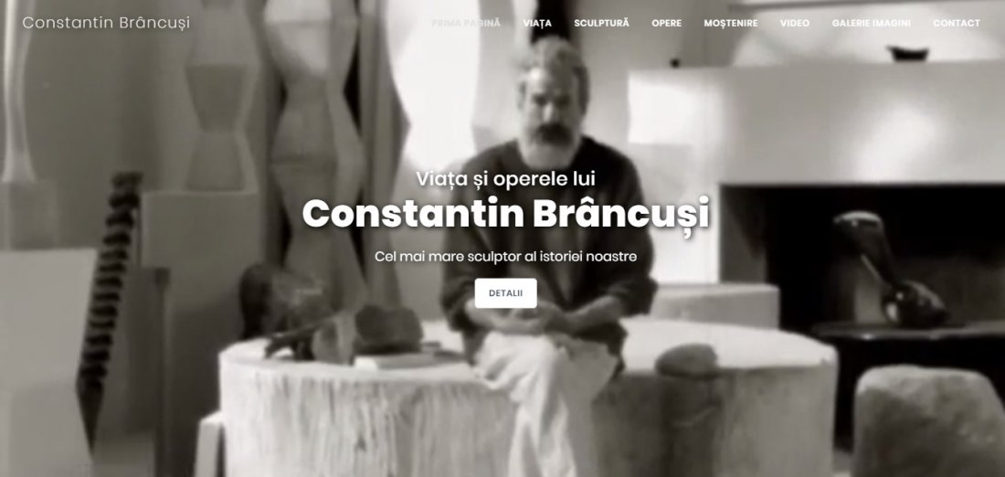 Atestat informatica Constantin Brancusi