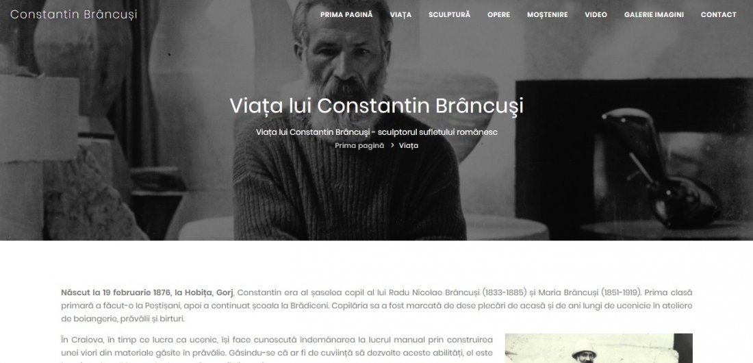 Atestat informatica Constantin Brancusi