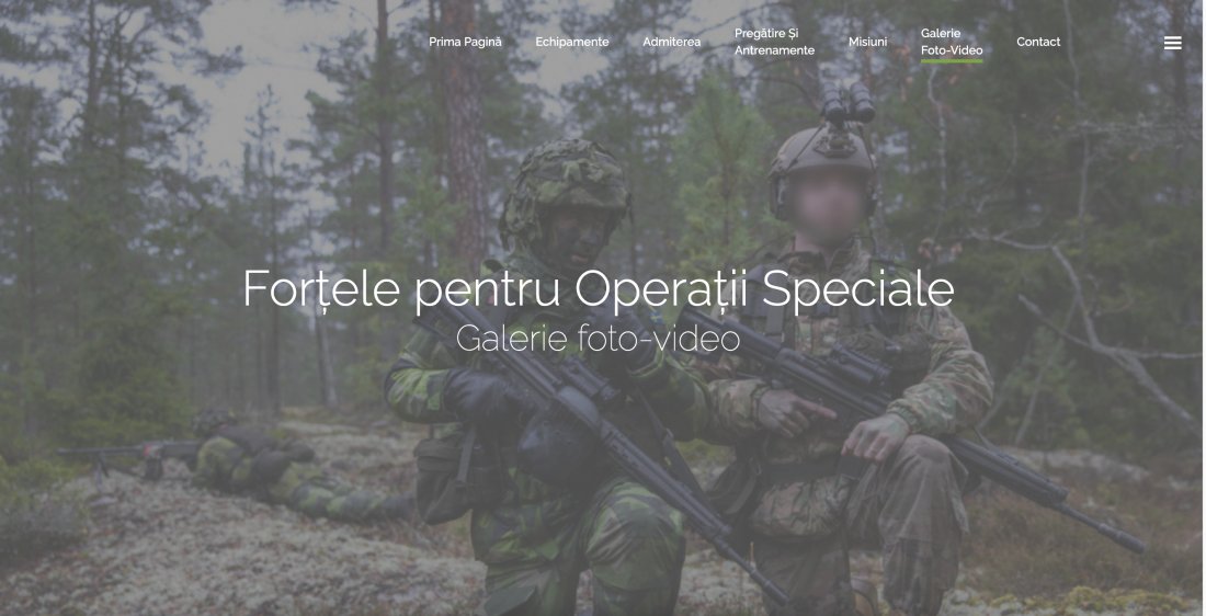 Atestat informatica Fortele pentru Operatii Speciale (FOS)