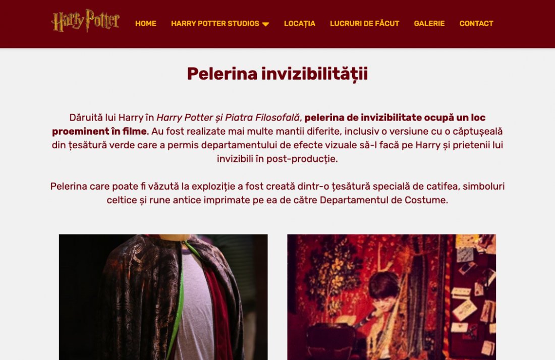 Atestat informatica Harry Potter Studios