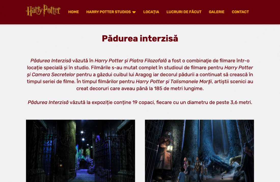 Atestat informatica Harry Potter Studios