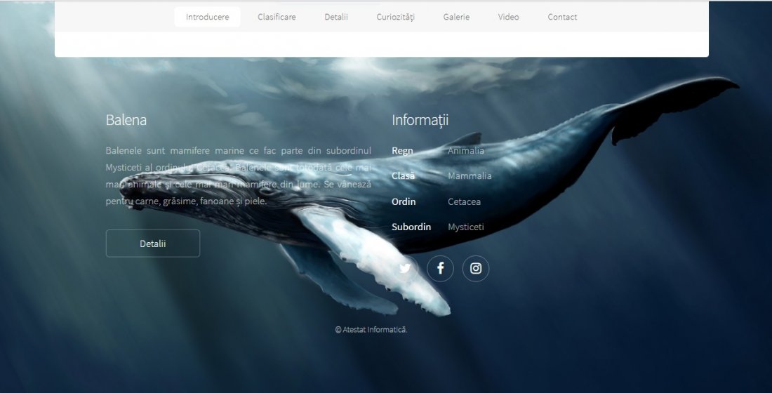 Atestat informatica Lumea balenelor