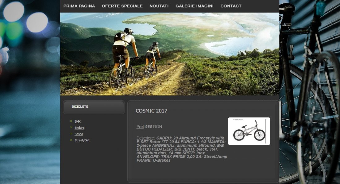 Atestat informatica Magazin biciclete