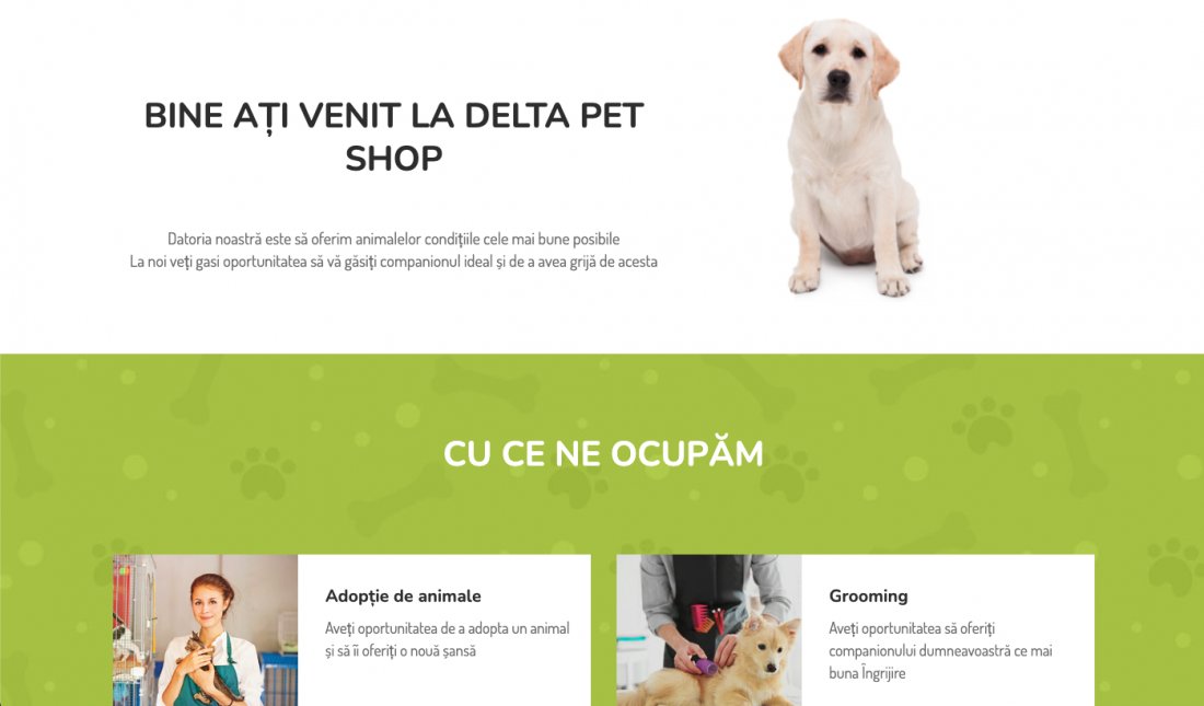 Atestat informatica Pet Shop