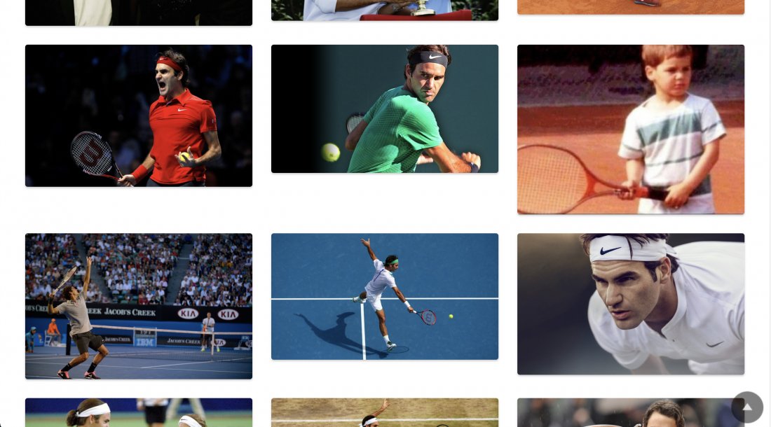 Atestat informatica Roger Federer