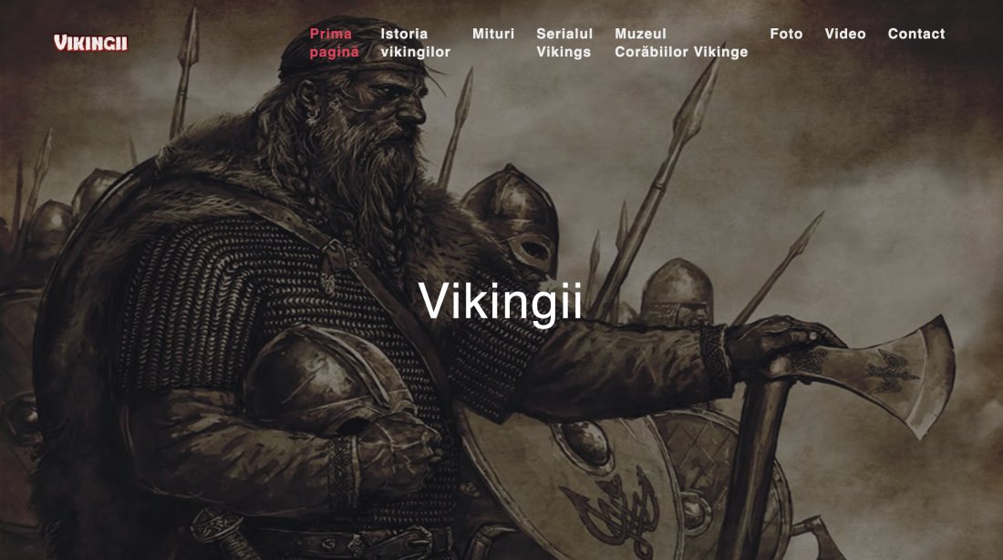 Atestat informatica Vikingii