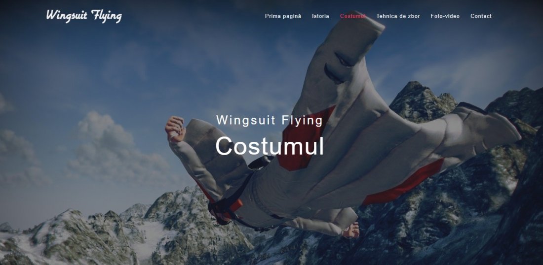 Atestat informatica Wingsuit Flying