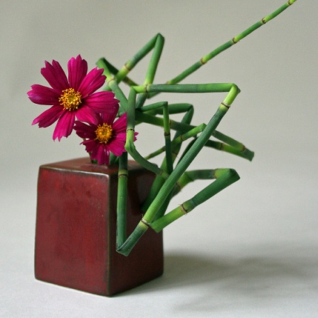 Atestat informatica Ikebana - arta florala